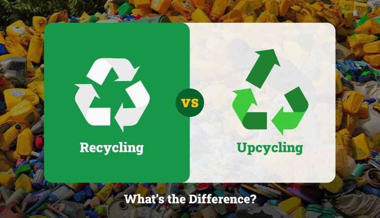 Recycling vs Upcycling scaled
