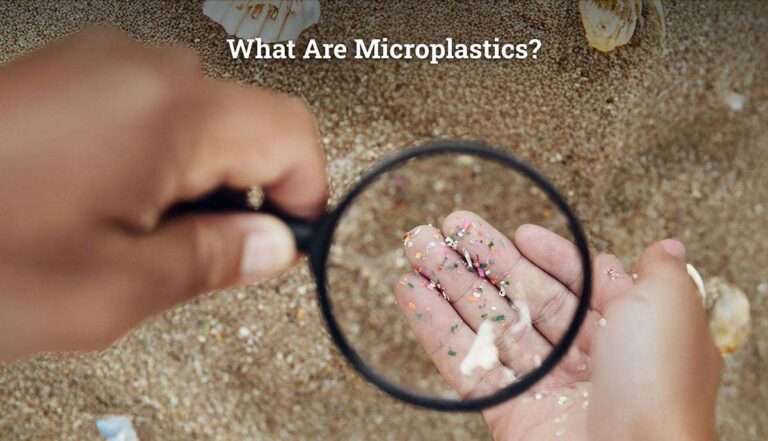 What Are Microplastics