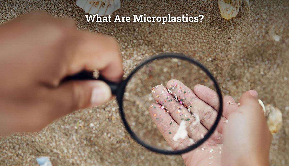 What Are Microplastics