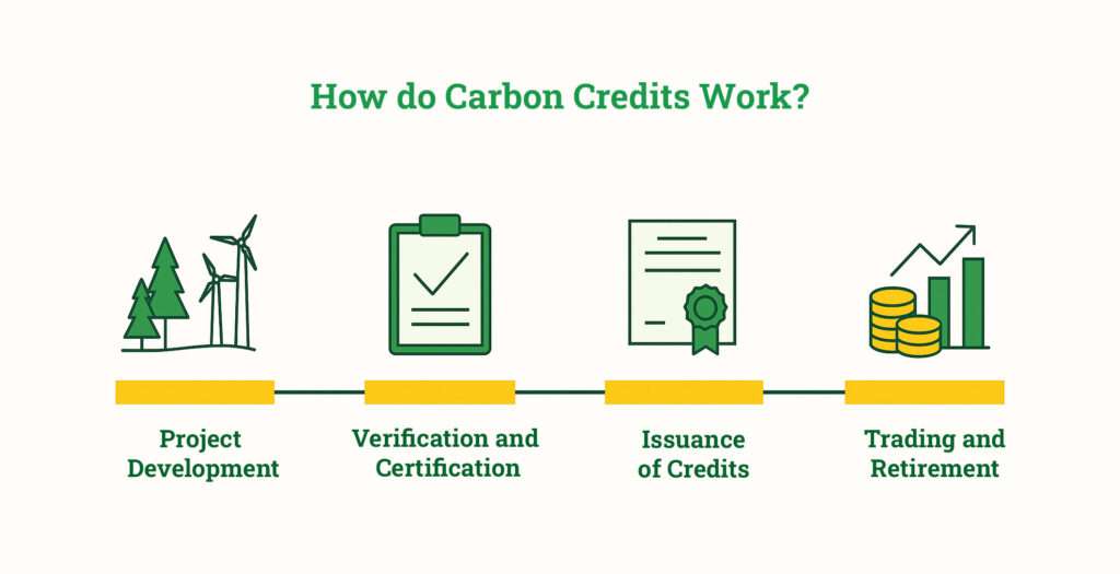 How do Carbon Credits Work