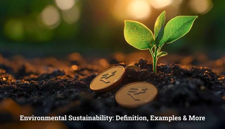 Environmental Sustainability