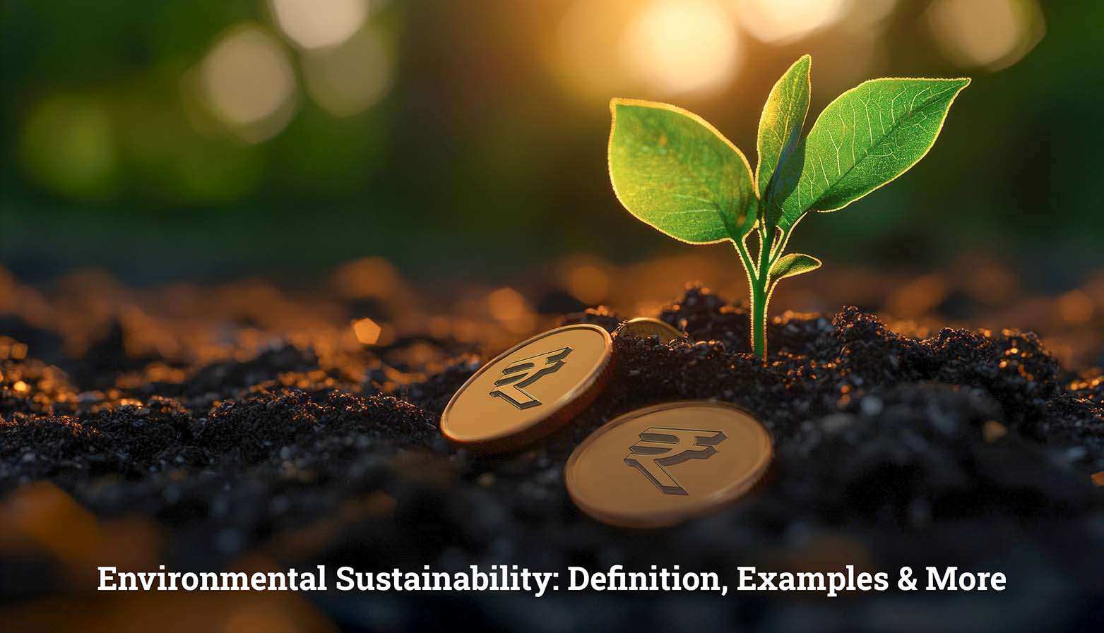 Environmental Sustainability