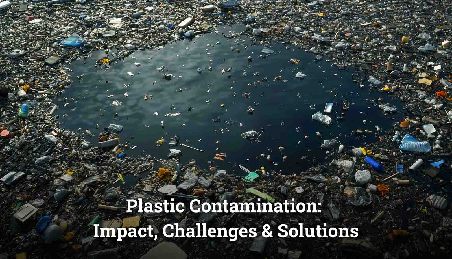 Plastic Contamination Impact Challenges Solutions
