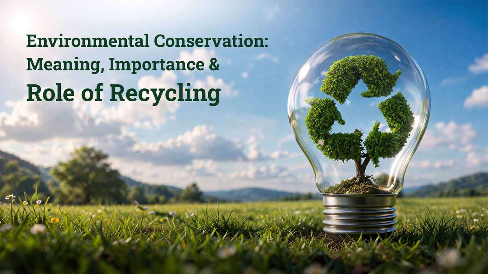 Environmental Conservation Meaning Importance Role of Recycling
